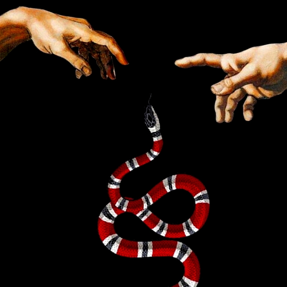 GUCCI ®️ - Picture 9 of 16